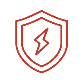 Electronic Protection Services